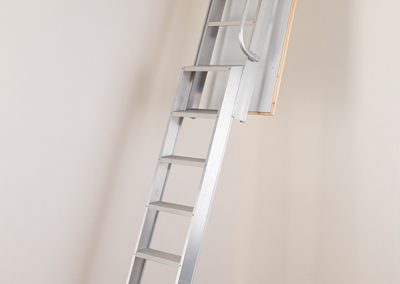 Deluxe Ladder