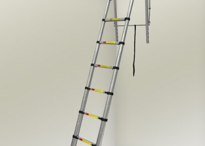 Telescopic Ladder